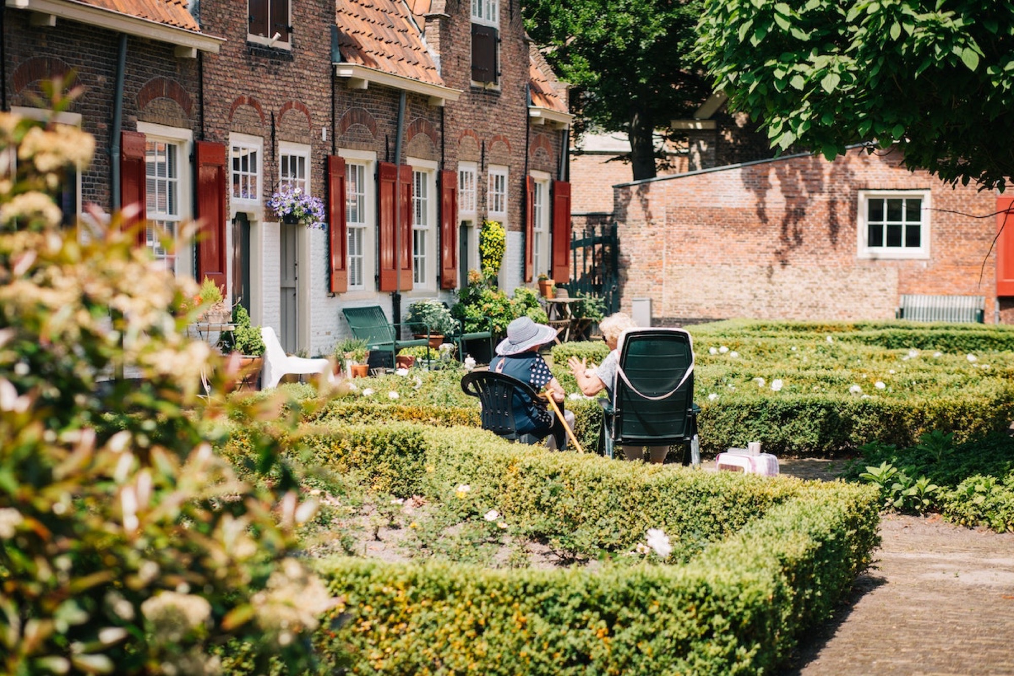 A person using a tablet beside plants at home